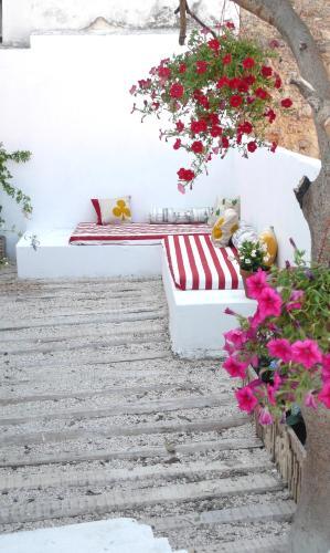 Apartamento Oliveirinha