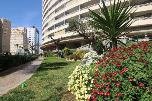 Apartment Apolo XIV With Private Parking