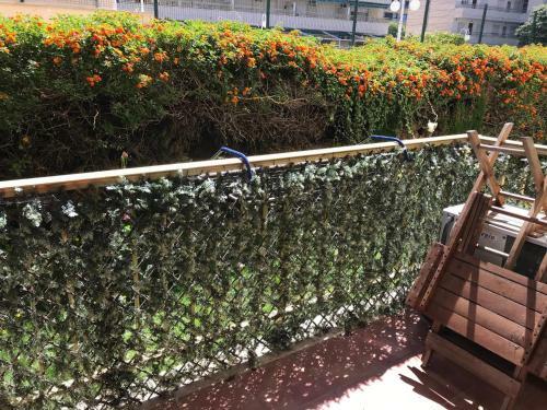 Apartamento Planta Baja Reformada - 152b