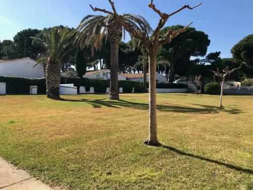Hostal Residencia Beach