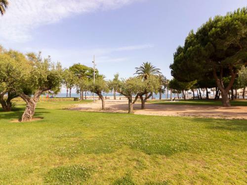 Apartment Olimpic 92