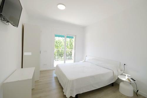 Apartaments �lex