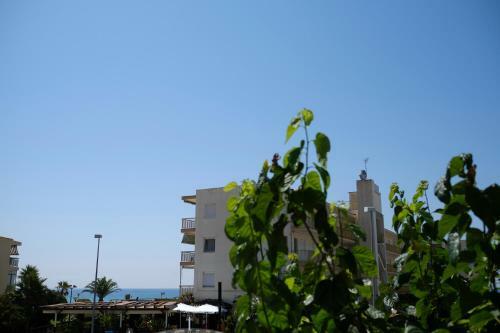 Apartaments �lex