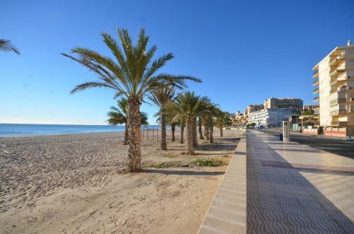 Apartamento Jardines Del Mar Ref 180