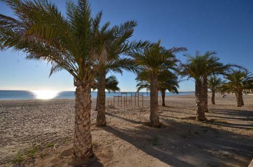 Apartamento Jardines Del Mar Ref 180