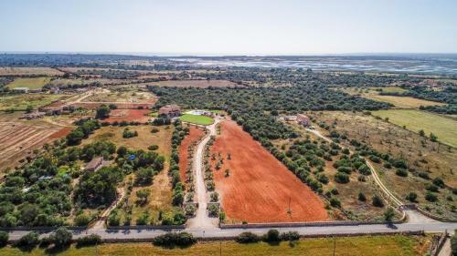 Es Trenc, Campos - 279531