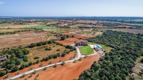 Es Trenc, Campos - 279531