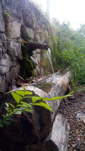 Hotel Rio Escabas