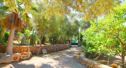 Sa Costa Campos Mallorca 411