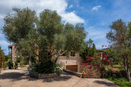 Villa Ribot