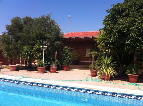 Luxury Villa In Playa Honda