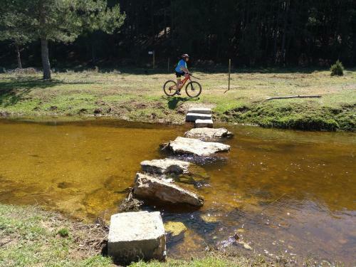 El Nido Del Mirlo