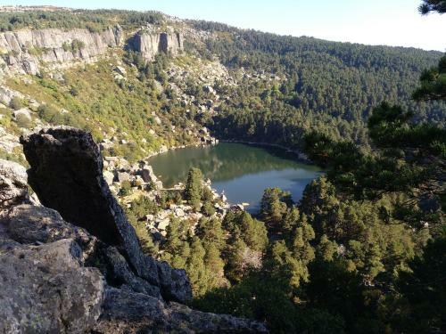 El Nido Del Mirlo