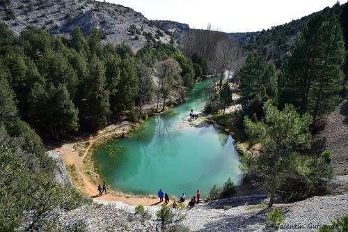 El Nido Del Mirlo