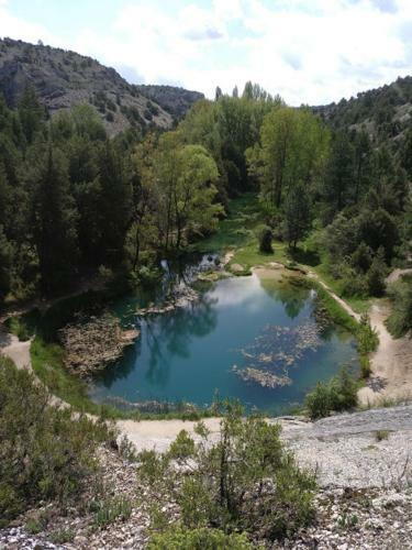 El Nido Del Mirlo