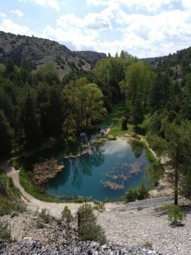 El Nido Del Mirlo