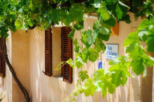 Villa Finca Moli Den Cavea