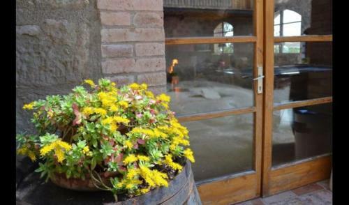 Casserres Villa Sleeps 26 With Pool