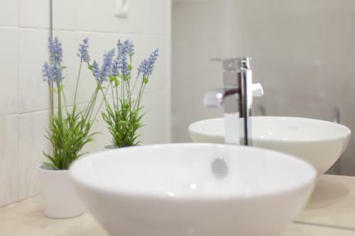 Apartamento Amalia Studios