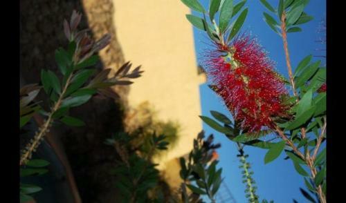 Sant Vicenc de Castellet Villa Sleeps 8 With Pool