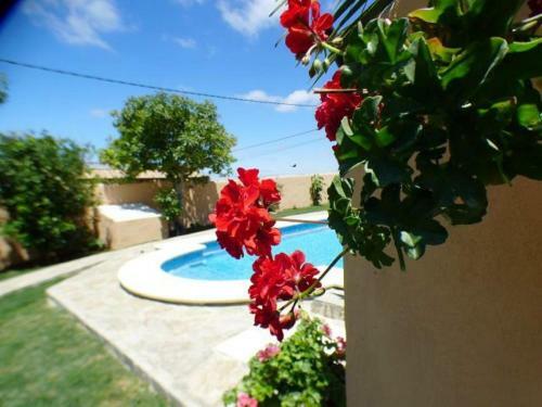 Villa Deluxe Con Piscina Privada