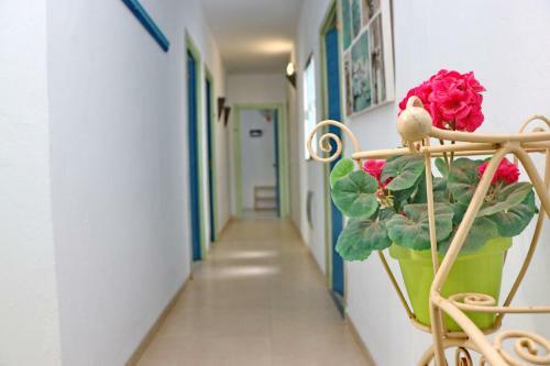 Apartamento Habitaci�n Ca�averal Playa Conil VI