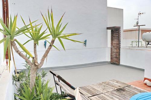 Apartamento Habitaci�n Ca�averal Playa Conil VI