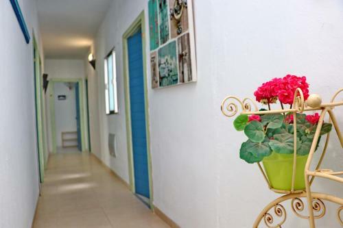 Apartamento Habitaci�n Ca�averal Playa Conil IV