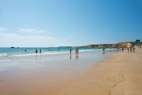 Apartamento Bonito Piso En Conil