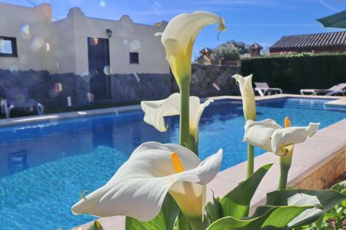 Chalet Bella Mendoza