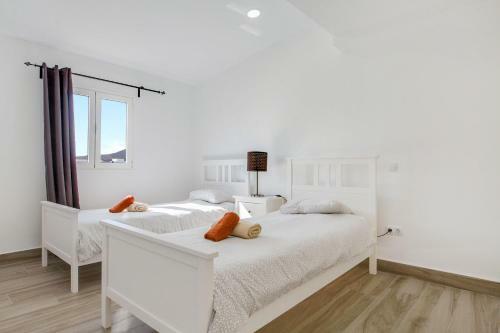 Apartamento �tico Deluxe Corralejo Centro