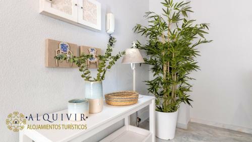 Apartamento Alquivir Alfaros 1 Habitacion