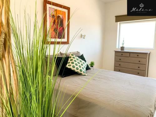 Apartamento H�l�ne Holidays And Retreats