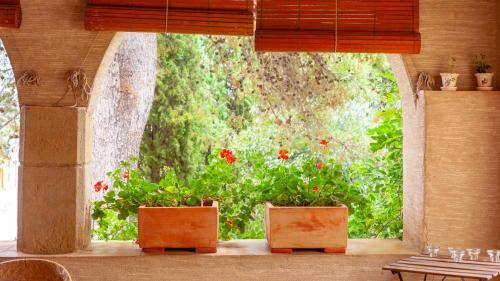 Corca Holiday Home Sleeps 18 With Pool