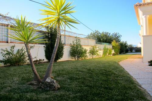 Villa Morris