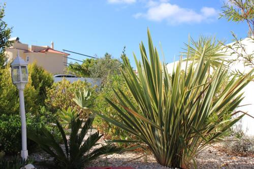 Hostal Sunshine
