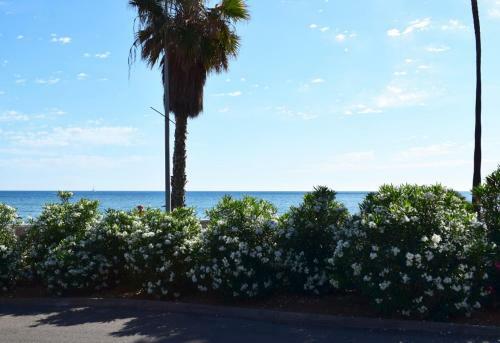 Apartamento Ap1107 Oasis Beach 2 Marineta