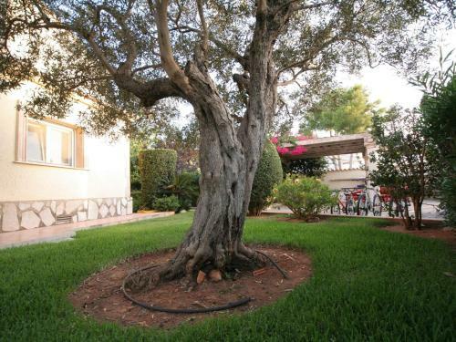 Luxurious Villa With Private Pool In Les Rotes
