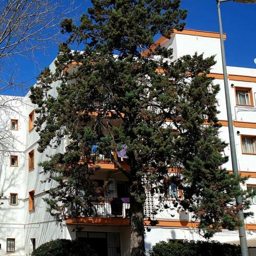 Luminoso Apartamento En D�nia