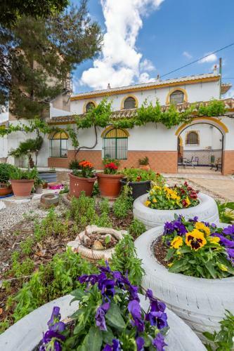Fidalsa Villa Malaguenya
