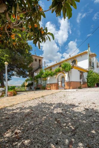 Fidalsa Villa Malaguenya