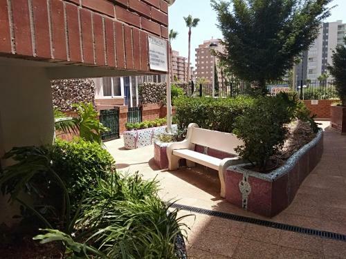 Apartamento Acv - Playa Coral I - 2� Linea, Planta 5 Norte