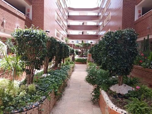 Apartamento Acv - Playa Coral I - 2� Linea, Planta 5 Norte