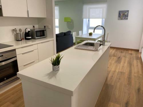 Apartamento Piso En El Centro Para 4 Personas - Plaza Amboage - Wifi
