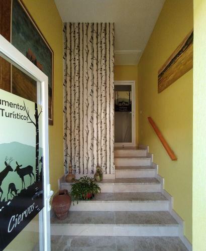 Apartamento Los Ciervos - Cueva Valiente