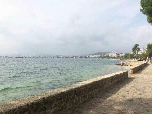 Apartamento 3� Playa Puerto de Pollensa