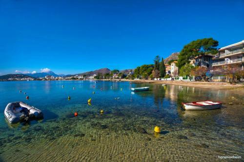 Villa Pinsa - Capritxo