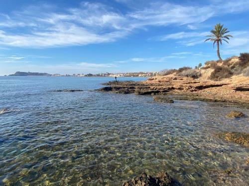 Apartamentos Buend�a