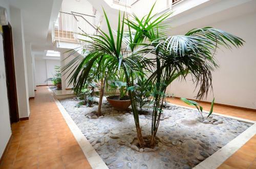 Apartamento Jardins Del Mar 34