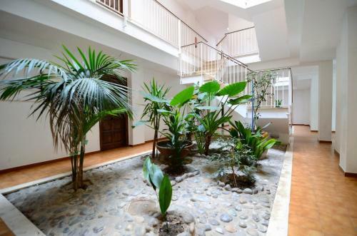 Apartamento Jardins Del Mar 38